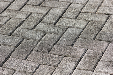 Modern view of monotone gray brick stone on the ground for street road.