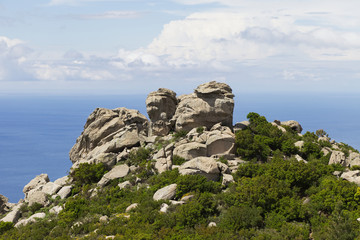 Fototapeta premium Felsen und Steine auf Elba