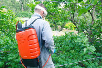Spraying the garden