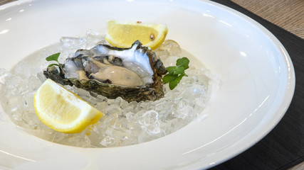 seafood, food, shrimp, uncooked, raw, sea, healthy, shellfish, prawn, table, mediterranean, lemon, cuisine, crustacean, fish, marine, mollusk