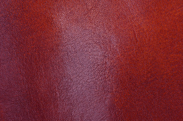 Fototapeta premium Natural leather background
