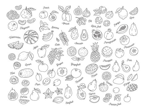 Fruit icon, Hand-drawn set of fruits. Vector flat illustration