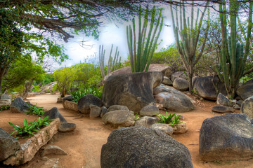 Ecological Diversity