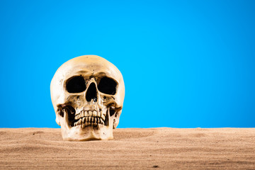 Human skull in the desert