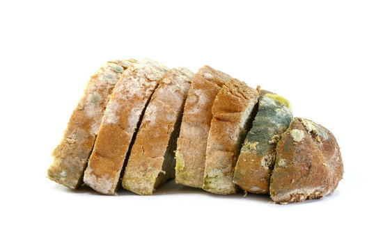 Moldy bread, isolated on white background