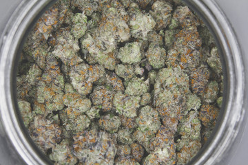 Top shot a bag filled with cured marijuana cannabis buds