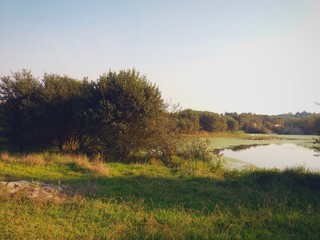 Fototapeta premium Beautiful landscape of an outdoor park