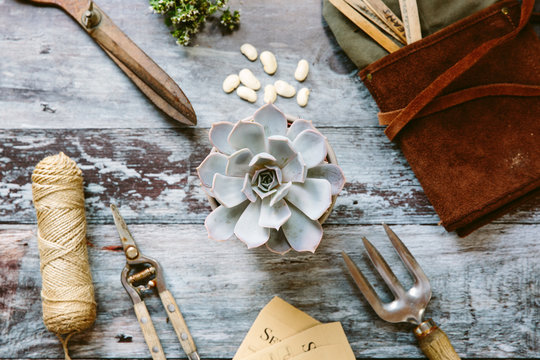 Gardening Flat Lay