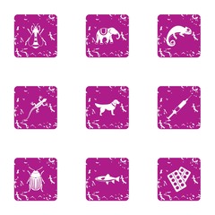 Useful animal icons set. Grunge set of 9 useful animal vector icons for web isolated on white background