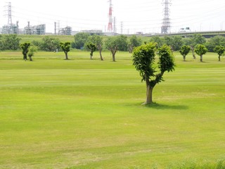 初夏の河川敷のゴルフ場