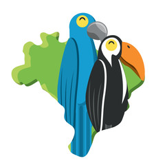 Brazil map with toucan and macaw birds over white background, vector illustration