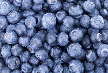 Freshly picked blueberries background