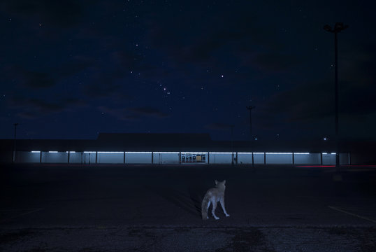 stand-off