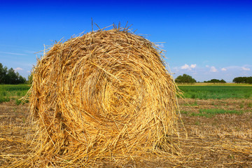 Hay bale in the countryside