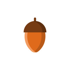 acorn colored illustration. Element of camping icon for mobile concept and web apps. Flat design acorn colored illustration can be used for web and mobile. Premium icon