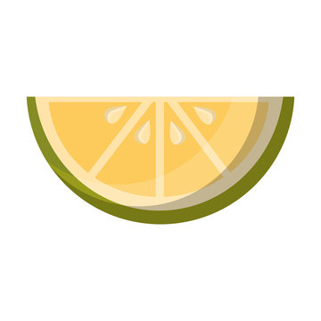 slice lemon citurs fresh image vector illustration
