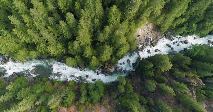 High Above Raging River Looking Straight Down on Rapids Through Thick Forest of Tall Evergreen Trees