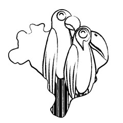 Brazil map with toucan and macaw birds over white background, vector illustration