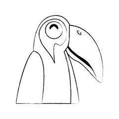 Toucan bird icon over white background, vector illustration