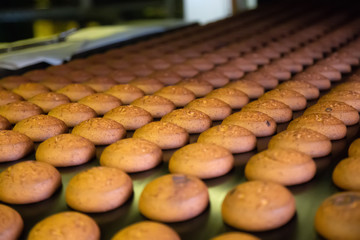 Baking production line. Cookies on conveyor belt 