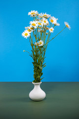 Still life with a bouquet of daisies in a white vase