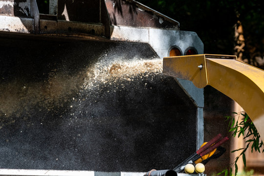 Wood Chips Shoot From Chipper