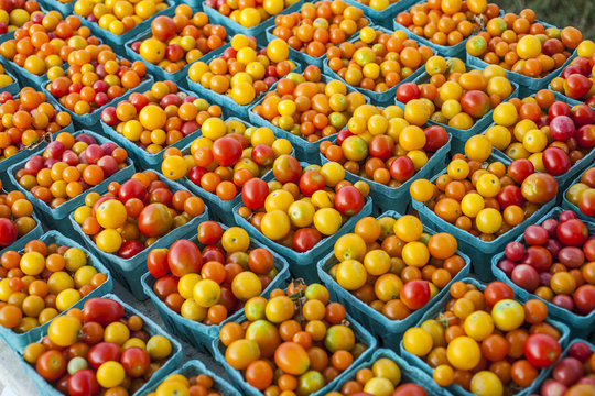 Cartons of Cherry Tomatoes on Farm Stand