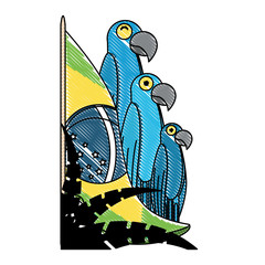 Brazilian flag with macaw birds over white background, vector illustration