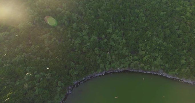 Isabel island 2