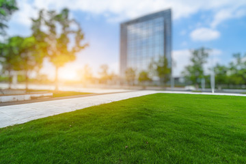 beautiful green field near modern office building.