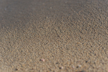 Fototapeta na wymiar Close up of beach sand near water