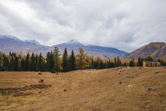 Village beside Kanas Lake