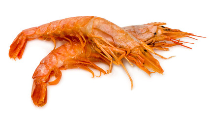 Raw fresh shrimp isolated on white background