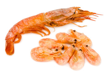 Raw fresh shrimp isolated on white background