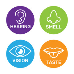 5 senses attached to central brain. Five senses icon set