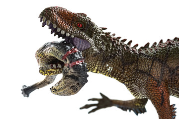 Fototapeta premium Carcharodontosaurus biting a dinosaur body with blood on white background close up
