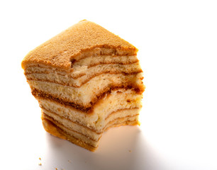 homemade sandwich shape sponge cage with a bites on white