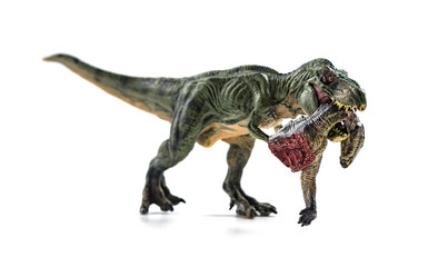 tyrannosaurus biting a dinosaur body with blood on white background