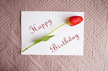 red tulip on a white sheet, the inscription "Happy Birthday"