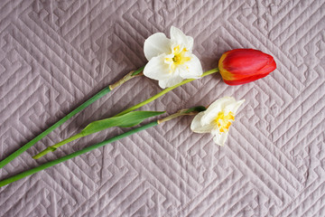 red tulip and artificial flower, close up