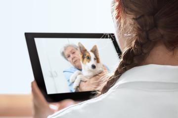 Tierärztin mit Tablet in der Hand, Seniorin mit Hund, Telemedizin und Beratung über das Internet