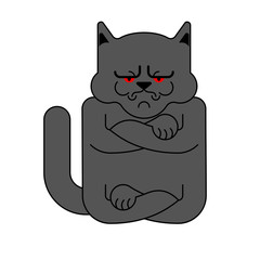 Grumpy cat isolated. Angry pet. Vector illustration