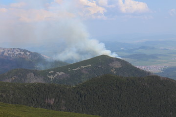 Forest wildfire in Kezmarske Zlaby, High Tatras, Slovakia