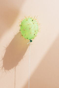 Balloon in disguise of cactus under dramatic light