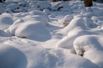 Obraz premium Rocks covered in snow