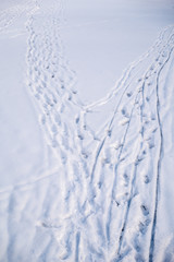 Track in snow