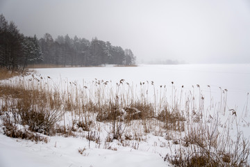 Winter lake