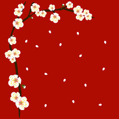 White Plum Blossom Flower Border on Red Background