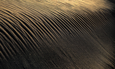 sand dune of desert in the morning sunrise
