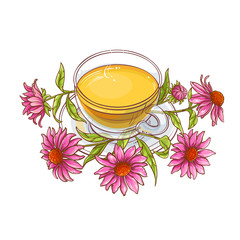 echinacea tea illustration